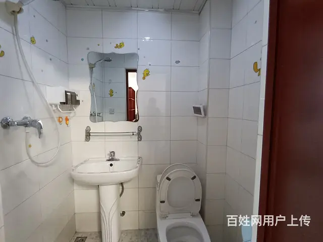 800一个月压一付一月租半年租都可以 - 图片 5