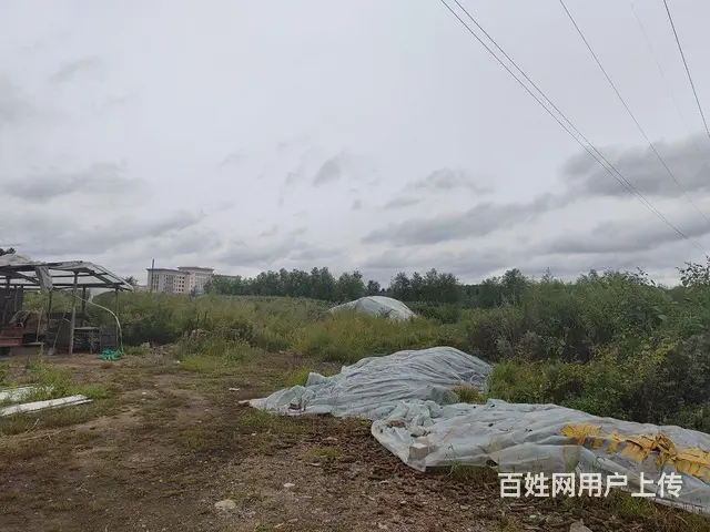 养殖牛羊，打造自己的领地 - 图片 4