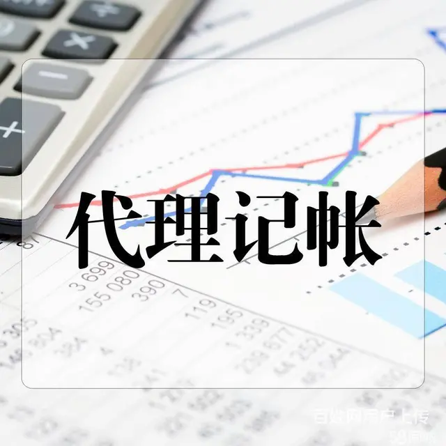 湖州个体公司小规模/一般纳税人税务会计做账报税办理 - 图片
