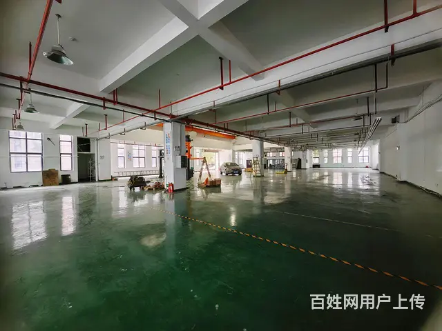 （房东直租）一楼实心厂房 - 图片 8