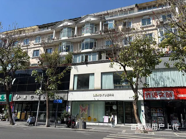 桐梓林金铺房东直租 - 图片 4