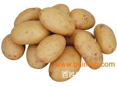 苏州农产品蔬菜批发配送 - 图片 10