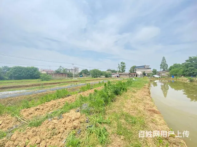 开福大道10亩坪，可做农家乐，花园，露营，种植养殖基地 - 图片 2
