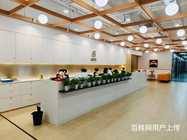 地铁口一百米、680/月 麓谷精装带家具，送网络！配套商业街 - 图片 1