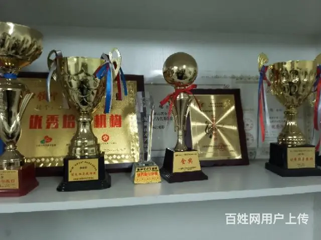 沈阳教成年人速成学古筝哪里好 - 图片 3