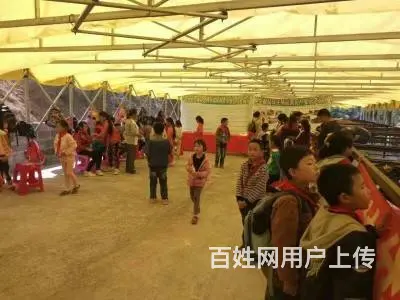 展会物流蓬工地排队蓬停车消毒蓬户外雨棚移动帐篷仓库 - 图片 8