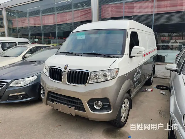 21年金杯新海狮，2人箱式货车。全车原版原漆， - 图片 2