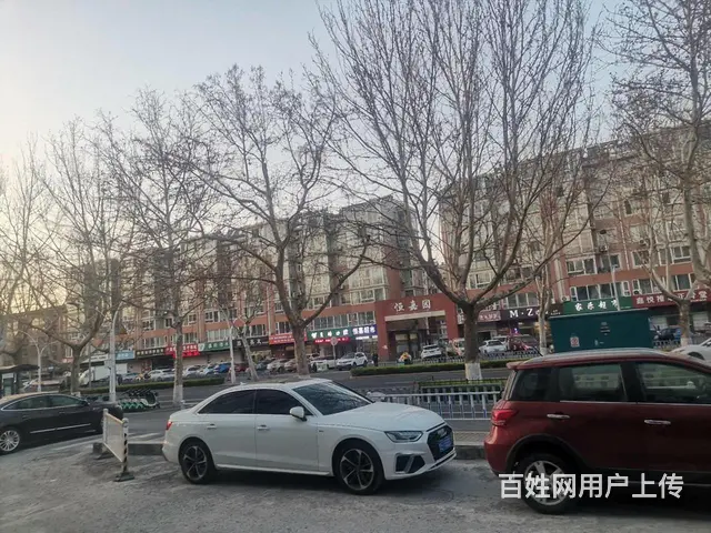 儿童公园恒嘉园一楼，三室两厅带地上储紧邻杜科恒润园东城华府 - 图片 12