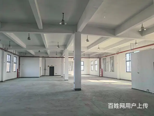 一楼1200平8毛标准丙类厂房招租 高度6米带大场地 - 图片 8