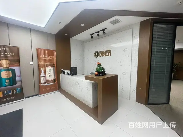 世纪城天府二街雄川金融中心300平 甲级纯写丨接待办公室 - 图片 4