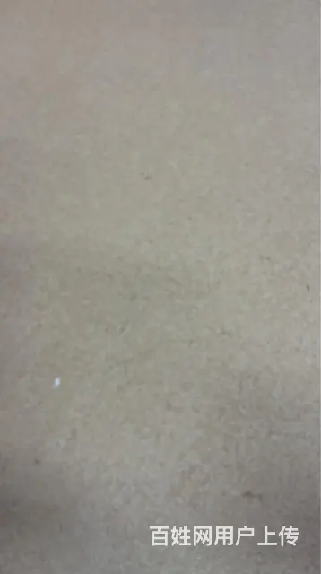 出租场地可办厂房学校 - 图片