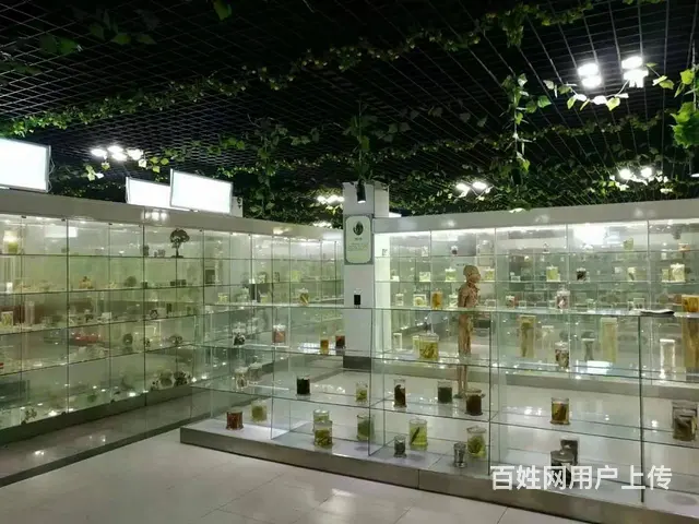 2023春季招生临沂卫校招生简章 - 图片 1