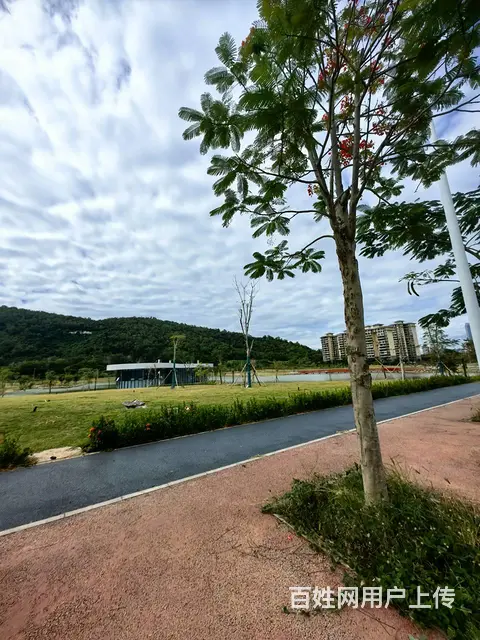（51旺铺推荐）荔枝沟海螺农场商超2500平招商 - 图片 4