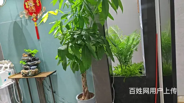 大型成熟社区精装修低租金采耳店转让 - 图片 2