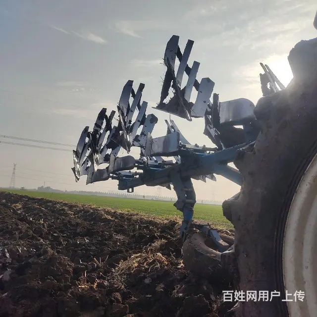 干活中450大梨 - 图片 6