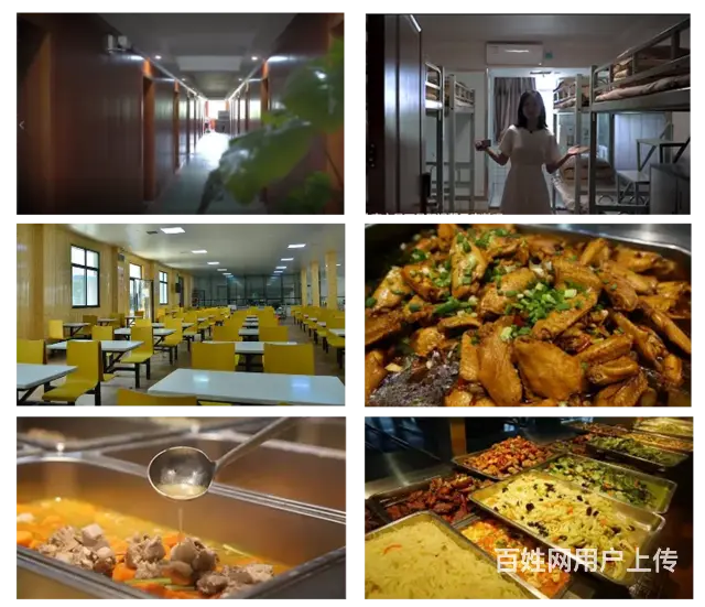 长沙书法艺考培训学校,选东方星书法高考 -专业纯粹 - 图片 4