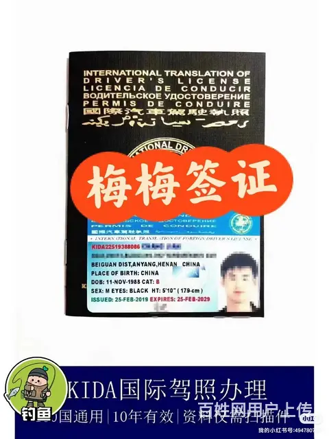 国际驾照 美国租车 国外开车 - 图片 3