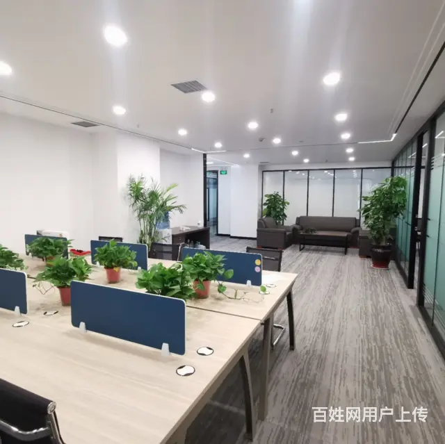 洛阳老城区写字楼出租，无中介费用，特价房源，120平大房可分 - 图片 1