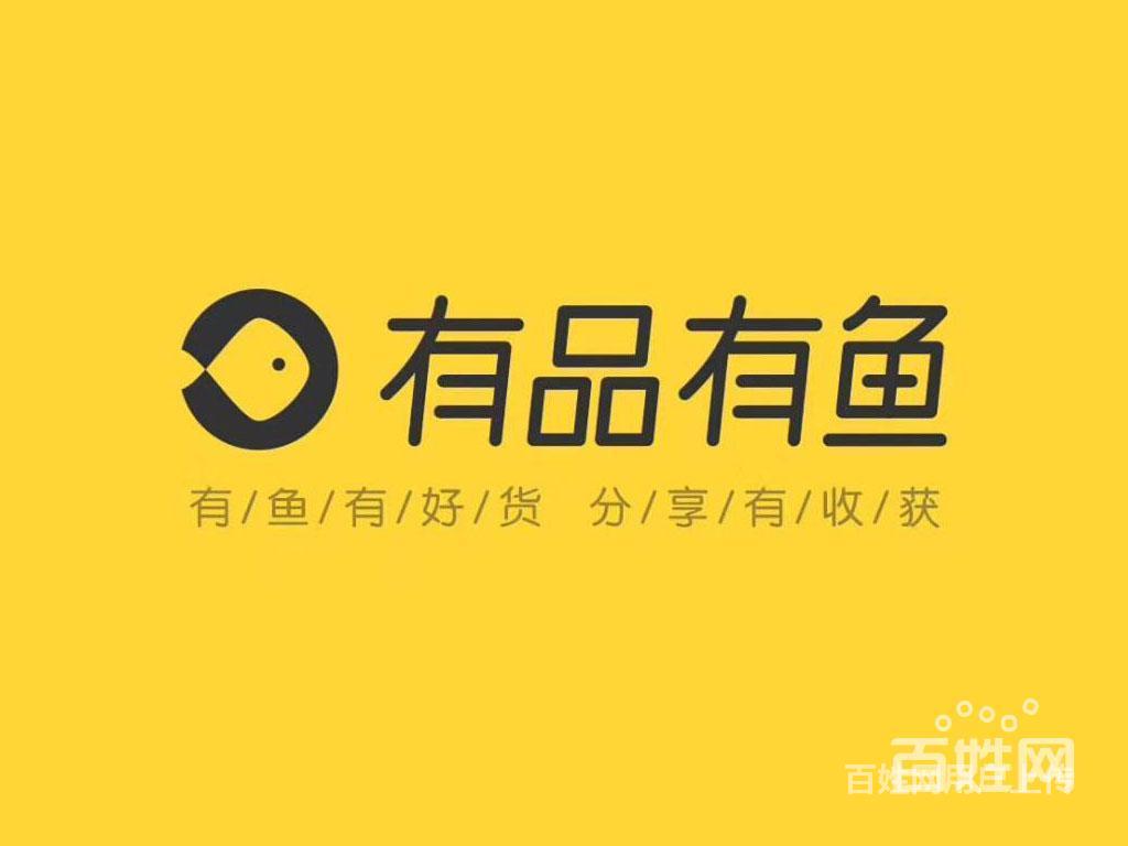有品有鱼招募团队,有品有鱼核心团队