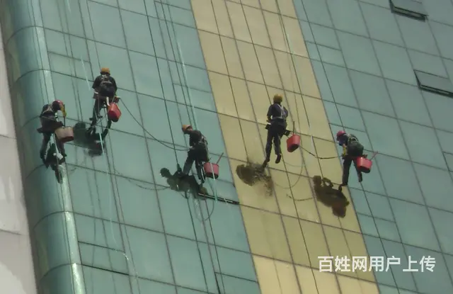 专业清洗地毯.擦玻璃.开荒保洁.外墙清洗.家电清洗 - 图片 4