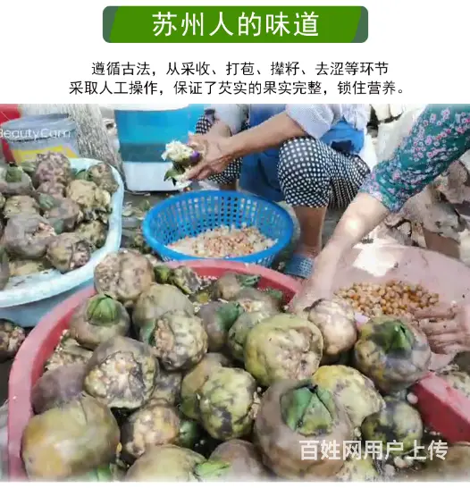 苏州特产水八仙新鲜鸡头米1斤2斤3斤礼盒装 - 图片 6