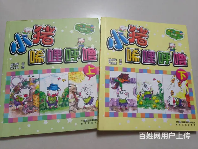 啥书都有，有全套也有单本的 - 图片 12