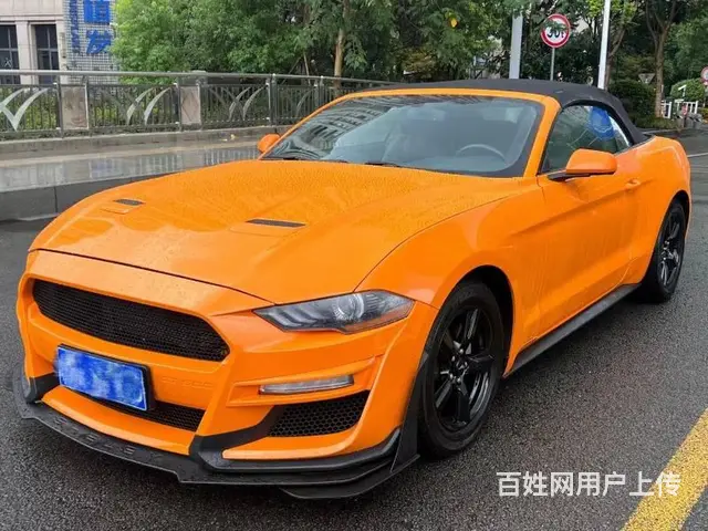 福特野马敞篷 - 图片 2