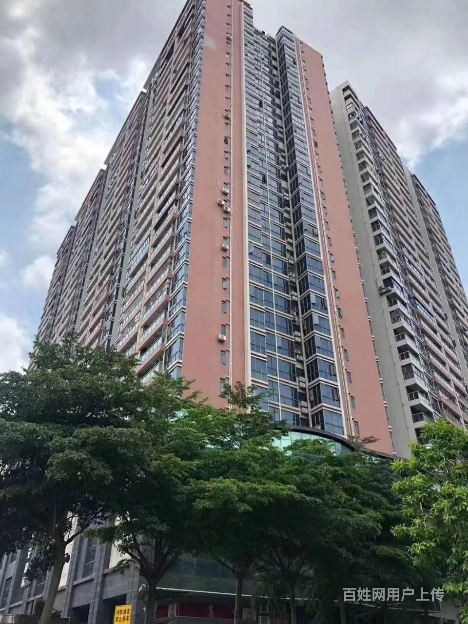 龙华清湖村委统建楼_龙华地铁口村委统建楼_龙华金苹果