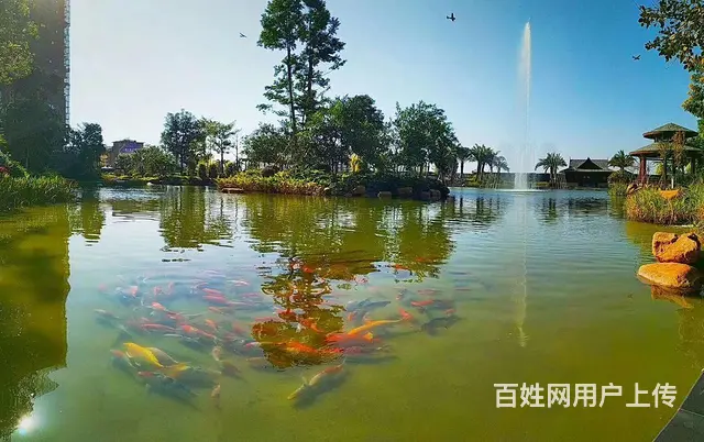 梧州江景园林花园小区 首付5万起！3房两厅两卫 - 图片 12
