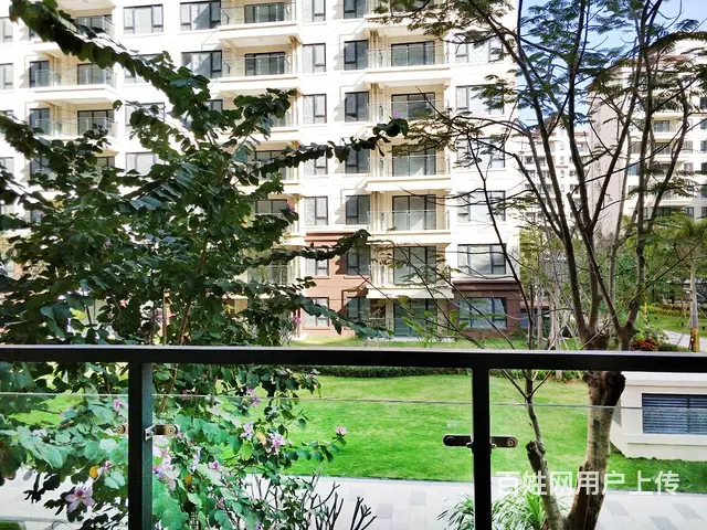 出租椰林阳光三居室 - 图片 8