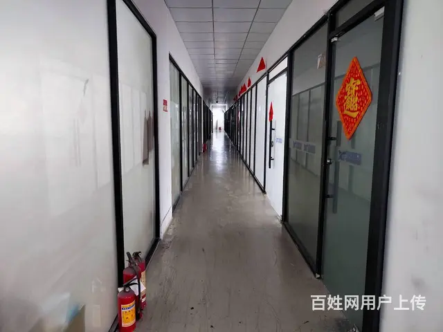 珠海前山翠微 厂房办公 310㎡ 33元/㎡免中介急租 - 图片 7