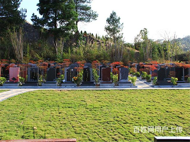 武汉八叠山公墓免费接送看墓地的车电话-购墓指导