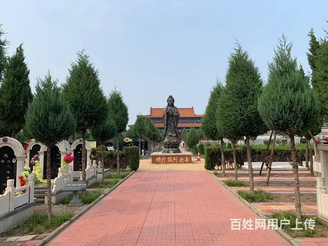 石家庄常山陵园办公电话园区地址及墓地价格 - 图片 12