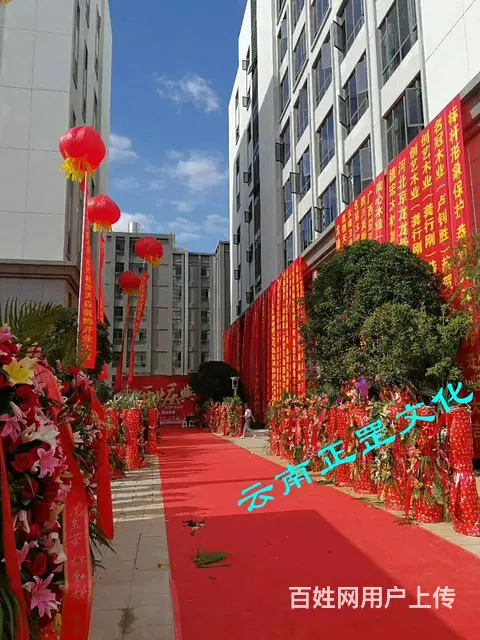 活动策划、舞美搭建、活动执行、灯光音响、演出表演 - 图片 3