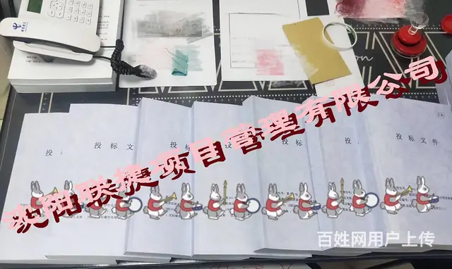 代写标书 工程 服装 食品 采购 - 图片 6