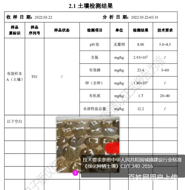 点击打开原图