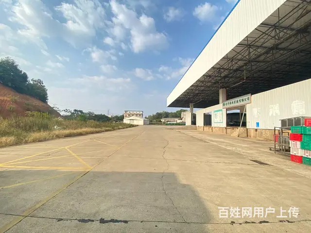 海吉星500一2000平生鲜农产品配套仓库，带冷库和恒温库 - 图片 7