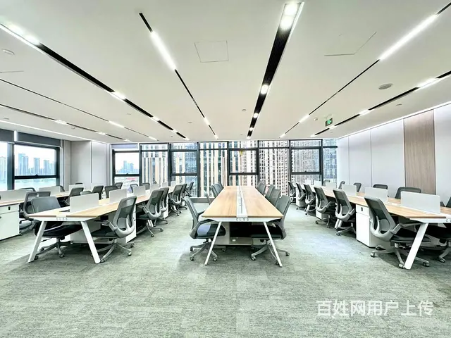 滨江金融中心 享政策补贴 现代化装修 拎包办公2+40卡位 - 图片 8