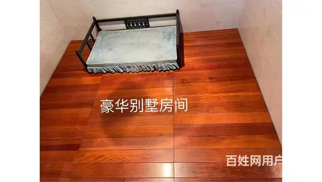 常熟训犬基地宠物寄养 - 图片 2