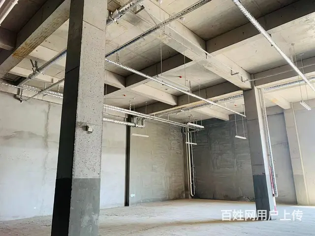 孟津产业园区，满足各种需求，一站式管家服务，高挑高，柱距8米 - 图片 10