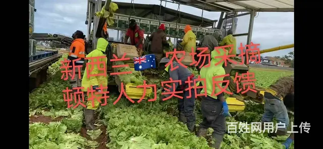 A常州出国安全发达国家，工签务工年入40万 - 图片 2