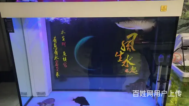【搞定了！】九成九新底过滤鱼缸 - 图片 4