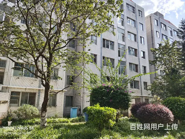 云铝小区 1楼 房屋出租春城路国贸中心 - 图片 11
