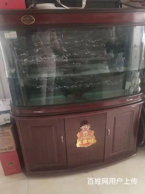 鱼缸 - 图片 1