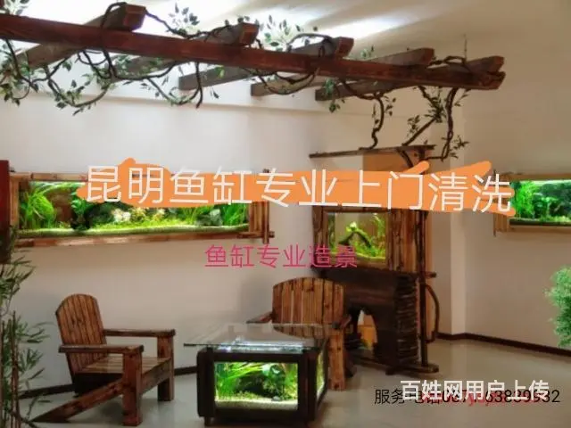 昆明鱼缸专业上门清洗服务 - 图片 12