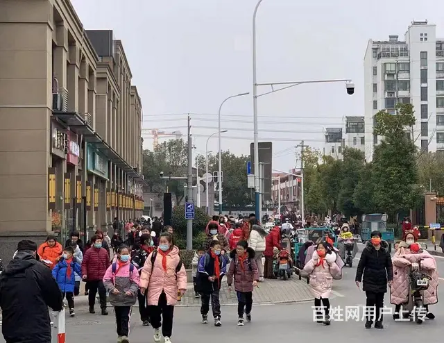 捡漏！单价13000抢美食街商铺，御果园已入驻，带租约出售 - 图片 4
