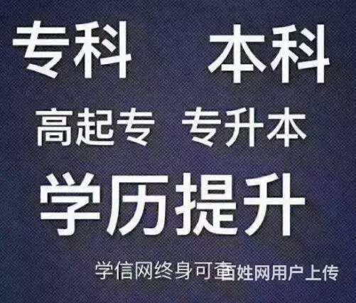 嘉兴学历培训：学历与能力的重要性 - 图片