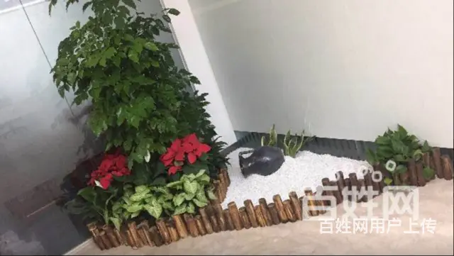 厦门园林绿化、厂区绿化设计施工、庭院绿化、花卉盆景 - 图片 2