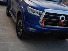长城 炮 2019款 2.0T 自动 两驱舒适版小双
