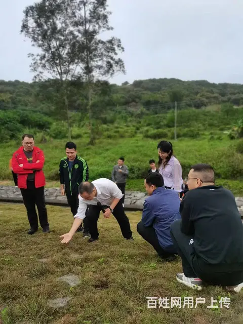 消杀人员证怎么办理，消杀人员证去哪里办 - 图片